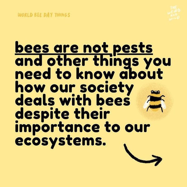 Thumbnail of p-cqonh8oh1ra-ab32e4e6c09c42c5 0