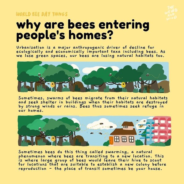 Thumbnail of p-cqonh8oh1ra-ab32e4e6c09c42c5 1