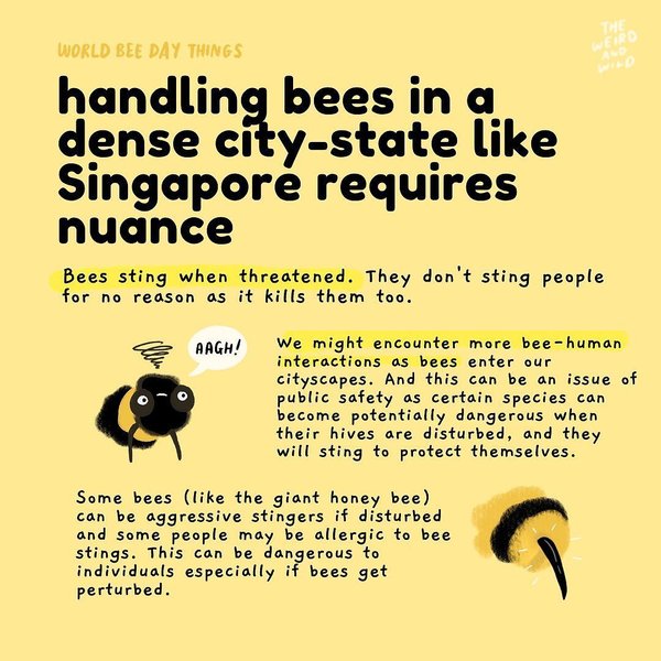 Thumbnail of p-cqonh8oh1ra-ab32e4e6c09c42c5 2