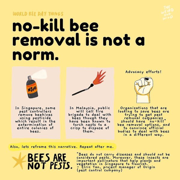 Thumbnail of p-cqonh8oh1ra-ab32e4e6c09c42c5 3