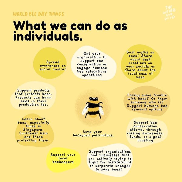 Thumbnail of p-cqonh8oh1ra-ab32e4e6c09c42c5 5