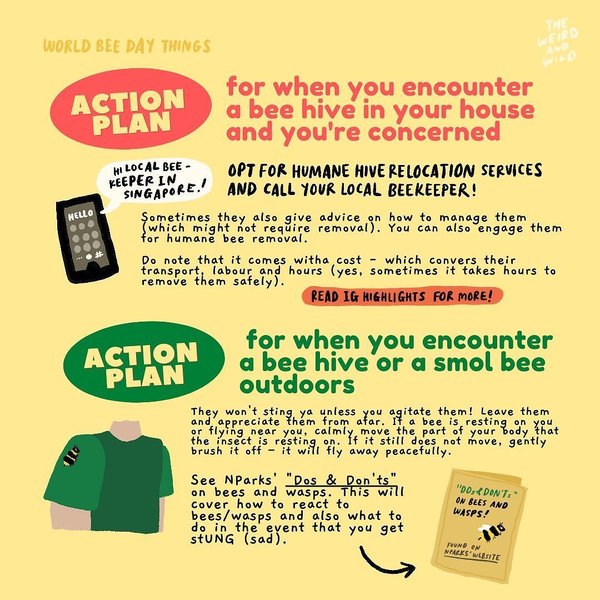 Thumbnail of p-cqonh8oh1ra-ab32e4e6c09c42c5 6