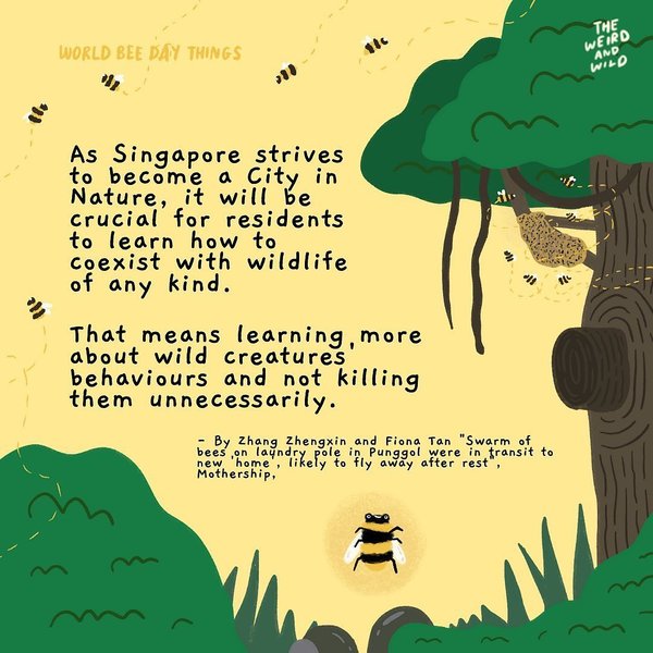 Thumbnail of p-cqonh8oh1ra-ab32e4e6c09c42c5 7