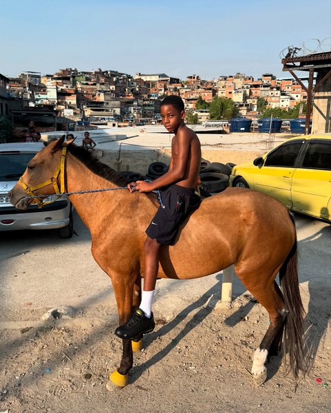 Thumbnail of dg-zbv3xgsf-ab3cc62fd27b4a7b 9