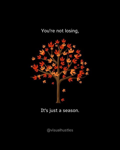 Thumbnail of p-dgcjbkvc2no-ab7b5ee7f5b1408e 6