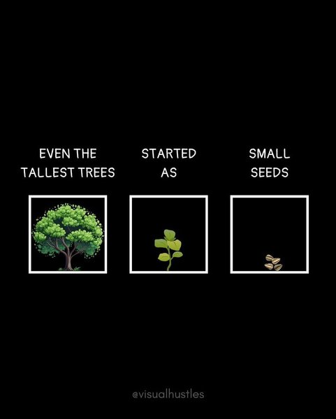 Thumbnail of p-dgcjbkvc2no-ab7b5ee7f5b1408e 8