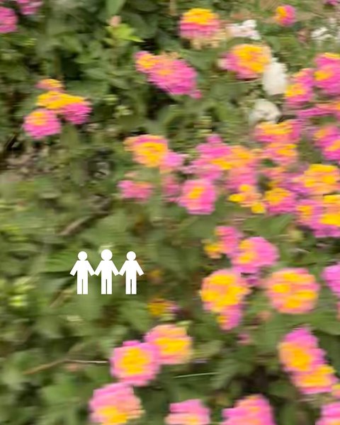 Thumbnail of p-djmwddwbmvt-ab84d8396a354101 2