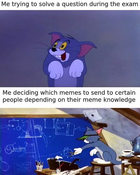 Thumbnail of p-b6hmgkmf5yy-ab8ab337951a40ce 0