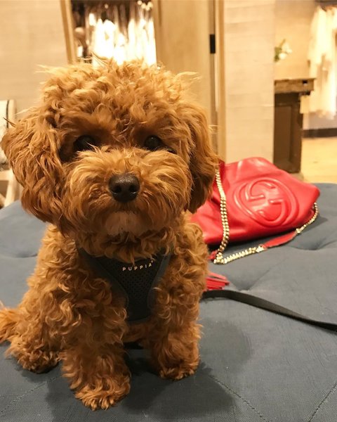 Thumbnail of brdrs25by-h-abbb7208454944e5 0