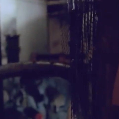 Thumbnail of p-c2veolvs7x5-abc0cd2aa9c445d0 4