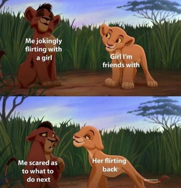 Thumbnail of p-b4brkiel3yr-abd088fcd38b4cc2 2