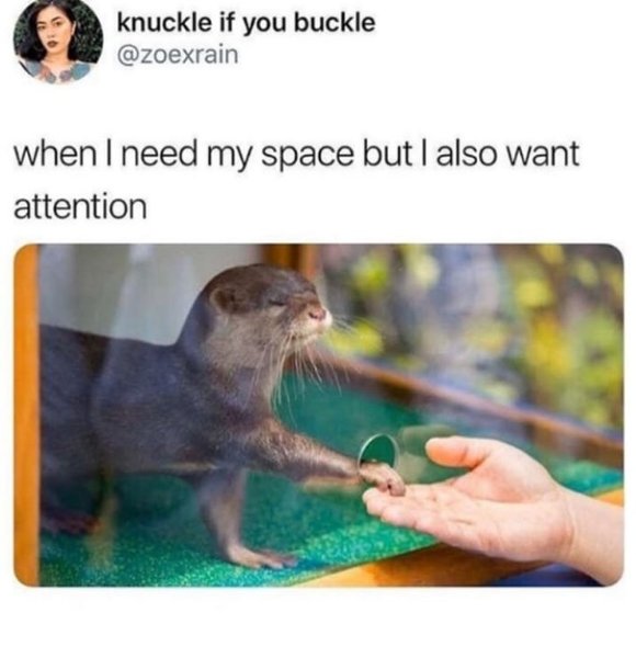 Thumbnail of p-b4brkiel3yr-abd088fcd38b4cc2 6