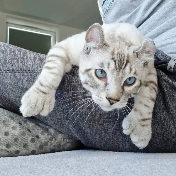 Thumbnail of cb-mkfrkxee-abfc0cf2e83d4135 0