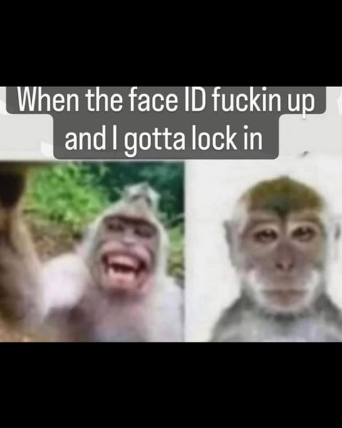 Thumbnail of p-cyrkoqby3wt-ac8eb0c6a4924450 8