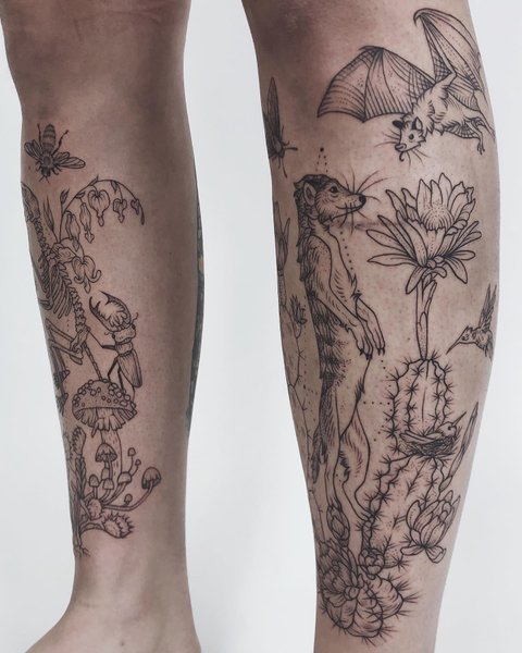 Thumbnail of p-b5wn8pxjy0y-aca5e53205a24966 1