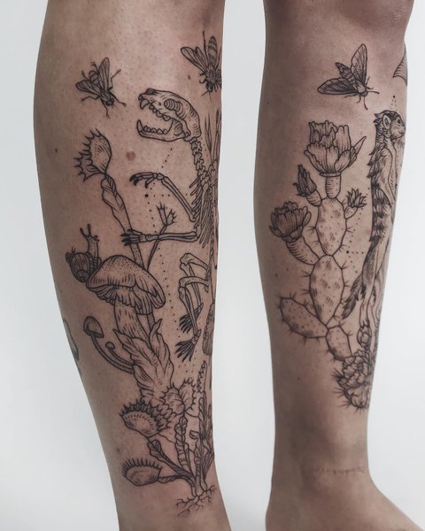 Thumbnail of p-b5wn8pxjy0y-aca5e53205a24966 2