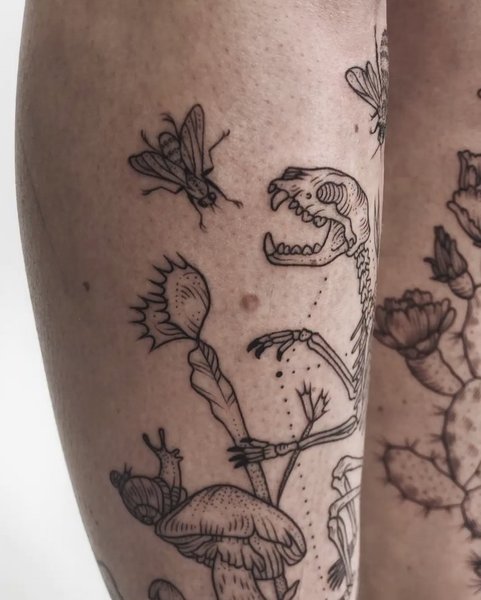 Thumbnail of p-b5wn8pxjy0y-aca5e53205a24966 4