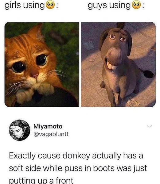 Thumbnail of p-cit8pt5hft7-acb69d96bef843d8 0