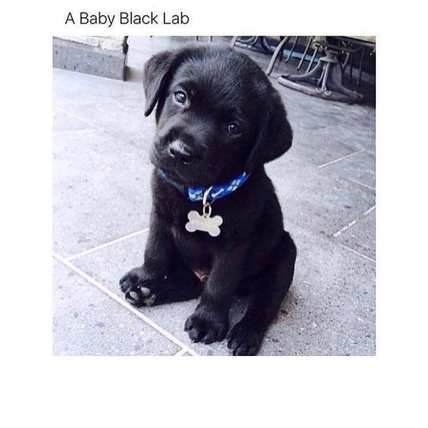 Thumbnail of p-bnqru2ghsow-ad1bbf9b5a634696 0