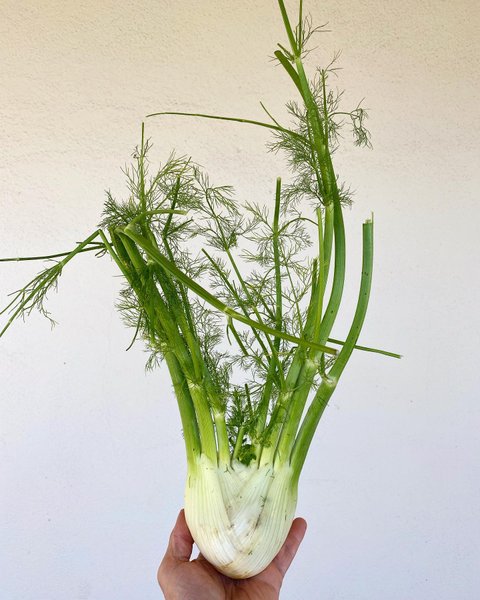 Thumbnail of p-c4rrwegpvvq-ad24284ff6e04d49 1