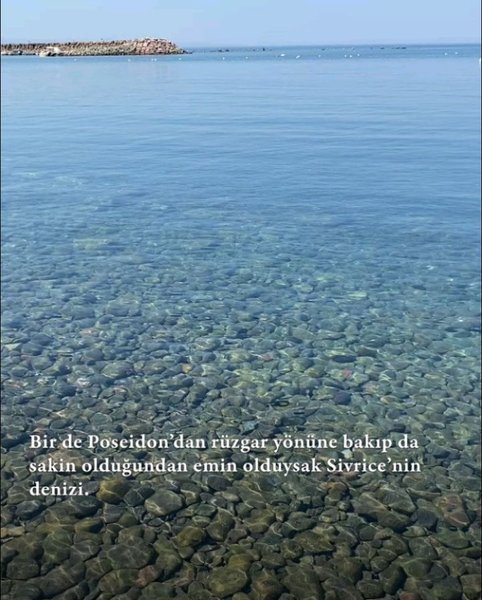 Thumbnail of p-dlkbj9snuff-ad305c94e6d846b8 10