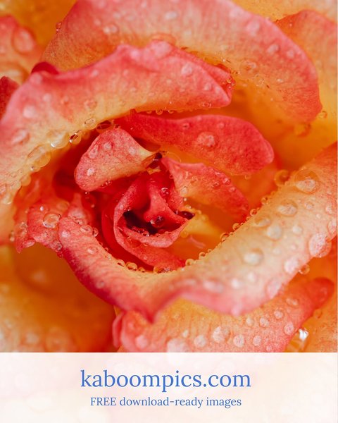 Thumbnail of www-instagram-com-p-drky379dkng-img-index-2 4