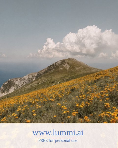 Thumbnail of www-instagram-com-p-drky379dkng-img-index-2 5