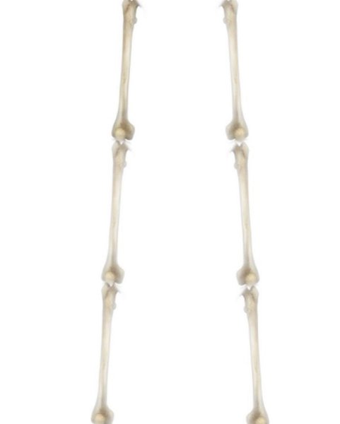 Thumbnail of b-1kaajfzhl-ad816fc5fd954b91 1