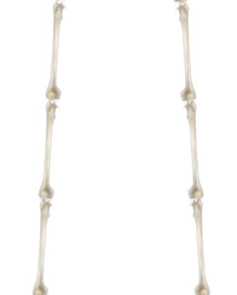 Thumbnail of b-1kaajfzhl-ad816fc5fd954b91 2