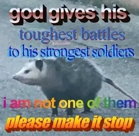 Thumbnail of p-ckxvrgfj8cv-adbeba4856334f68 0