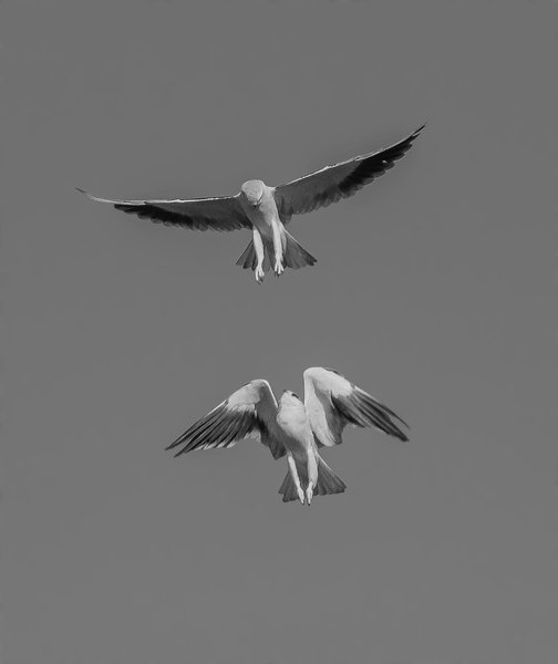 Thumbnail of b-7pgqffgmo-adbeeb9131dd4acb 0