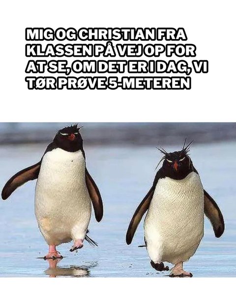 Thumbnail of p-csnemlhsw5b-adcfa1b345774831 3