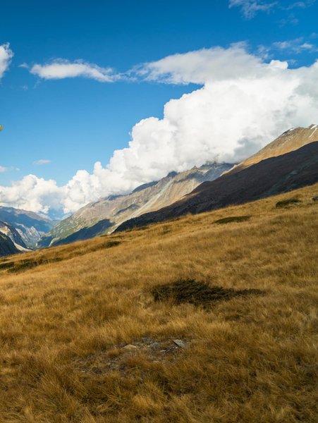 Thumbnail of p-dmgtwfiydyl-ade6806559584e9e 5