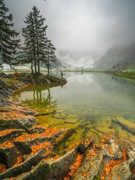 Thumbnail of p-dmgtwfiydyl-ade6806559584e9e 7