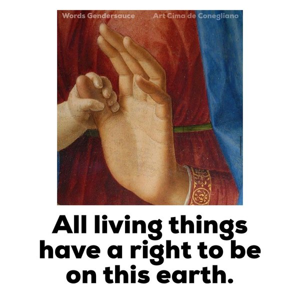 Thumbnail of p-c0meuv0rjjk-ae4bfa33bb75490e 0