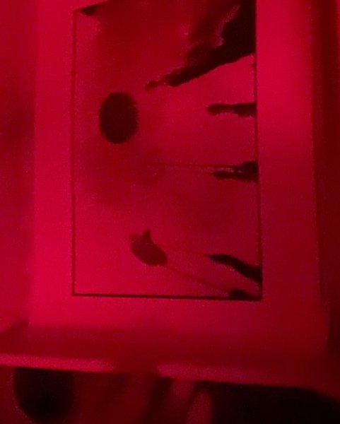 Thumbnail of p-cr3fay1timo-ae4c502d0f814425 3