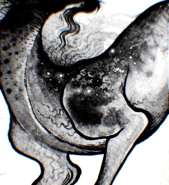 Thumbnail of cujpclsnf-k-ae50117e3d434954 2