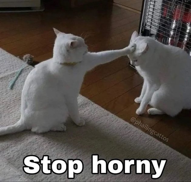 Thumbnail of ccite5-qnok-ae7a534c5023474a 0