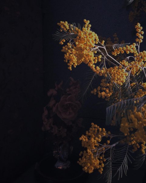 Thumbnail of ca41jc2mv-o-ae89f0a7f8ea478e 0