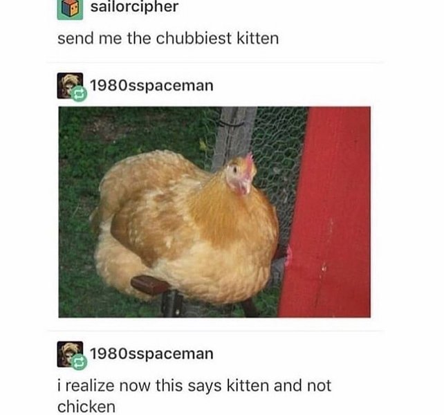 Thumbnail of p-bzodmtaivhp-ae9b111acb5b44ee 0