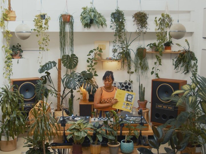 Thumbnail of p-dptlayljlmn-aec9780e910d46e7 0