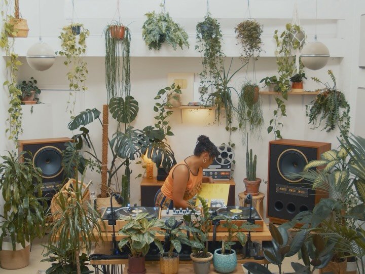 Thumbnail of p-dptlayljlmn-aec9780e910d46e7 1