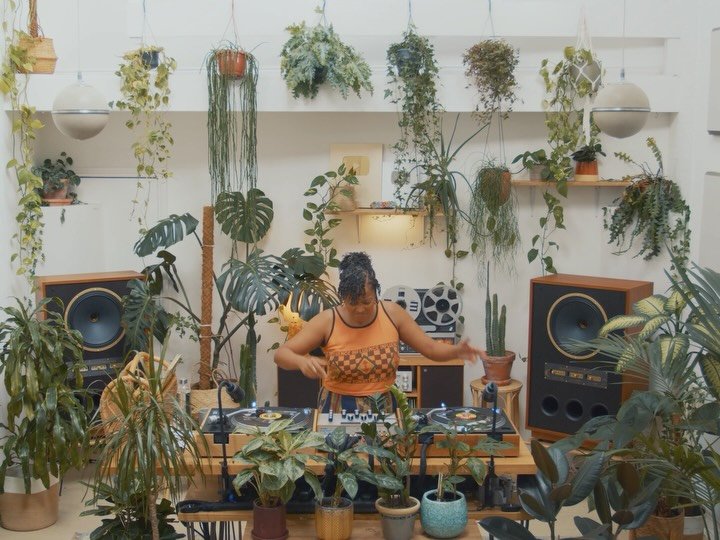 Thumbnail of p-dptlayljlmn-aec9780e910d46e7 2