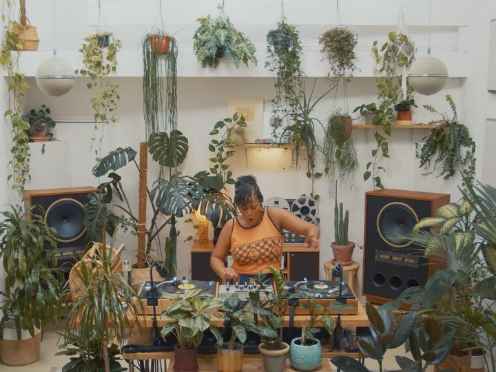 Thumbnail of p-dptlayljlmn-aec9780e910d46e7 3