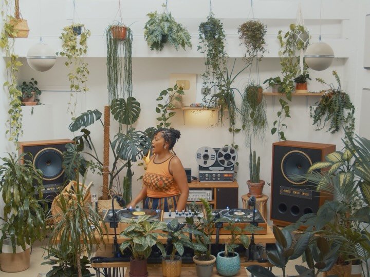 Thumbnail of p-dptlayljlmn-aec9780e910d46e7 4