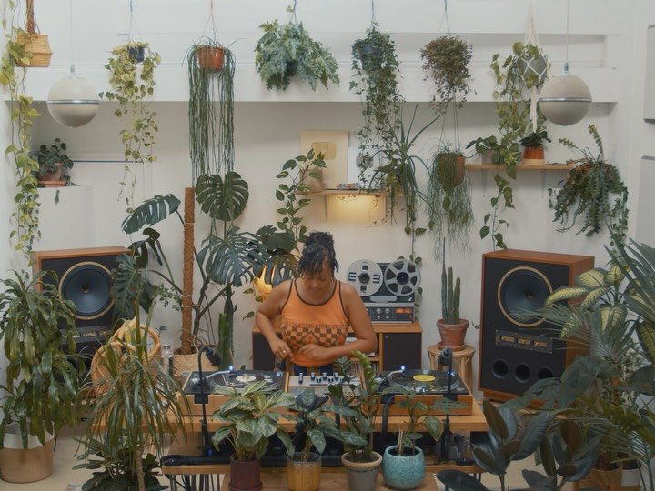 Thumbnail of p-dptlayljlmn-aec9780e910d46e7 5