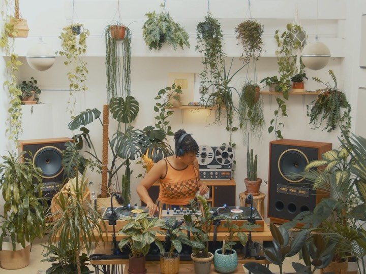 Thumbnail of p-dptlayljlmn-aec9780e910d46e7 6