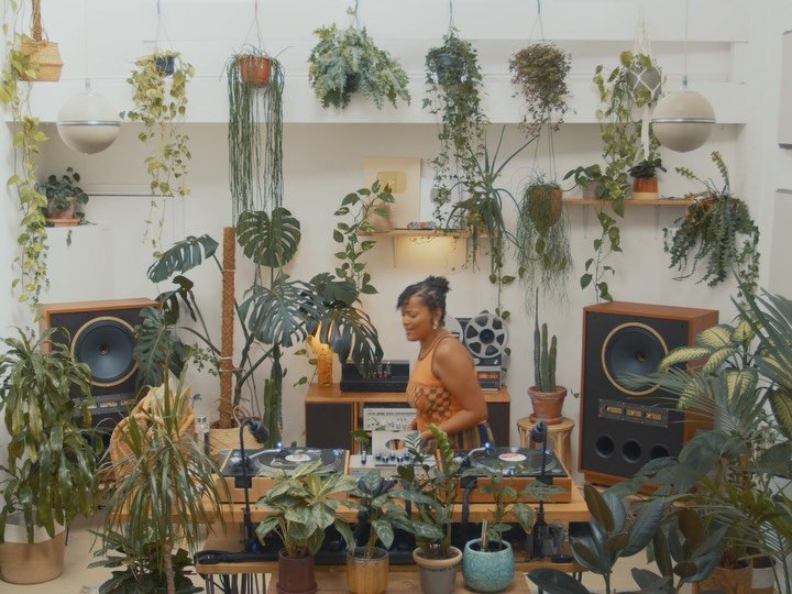 Thumbnail of p-dptlayljlmn-aec9780e910d46e7 8