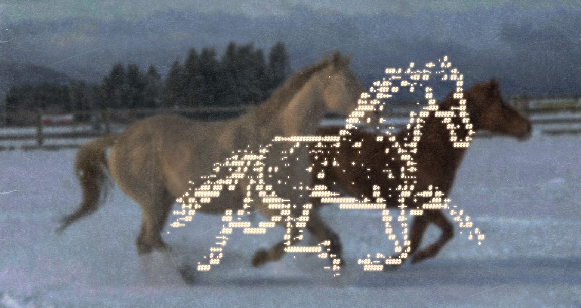 Thumbnail of p-dlk7ly4nnqy-aef31ecf79574cf3 0