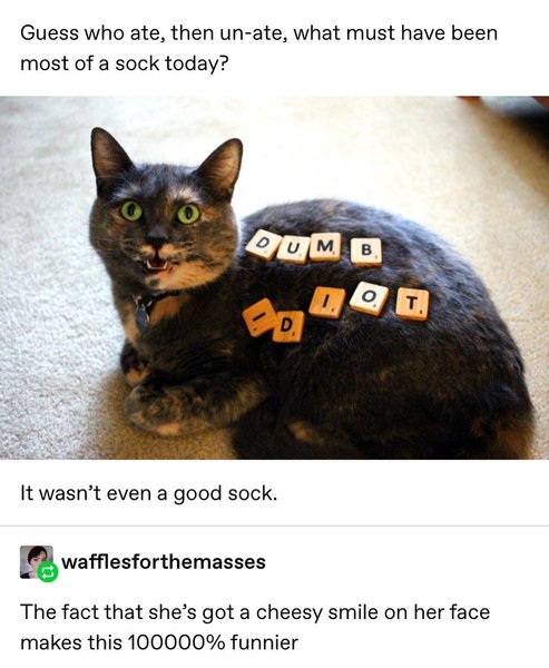 Thumbnail of p-b0fh6cmjtgt-af5a1c3c790c4d3e 0